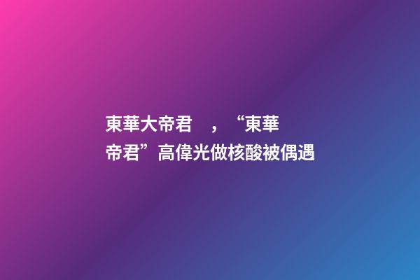 東華大帝君，“東華帝君”高偉光做核酸被偶遇-第1張-觀點-玄機派